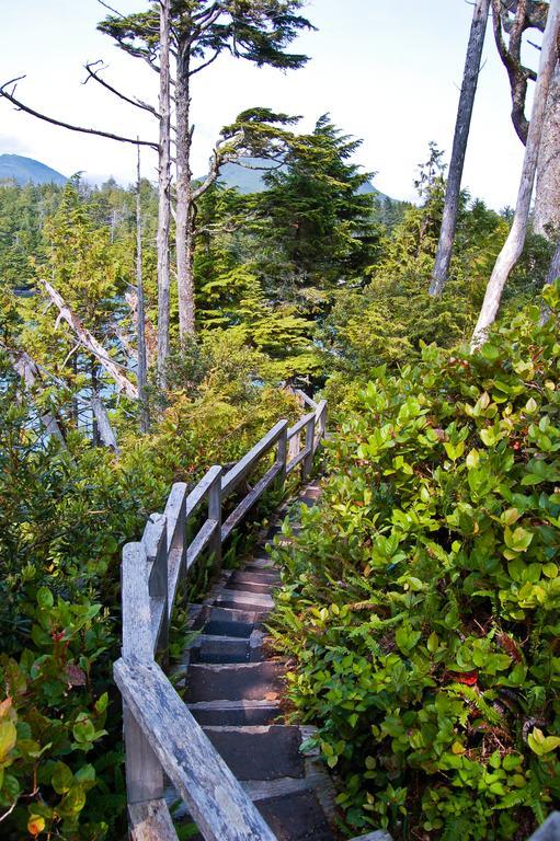 Wild Pacific Guest Suites Ucluelet Bagian luar foto