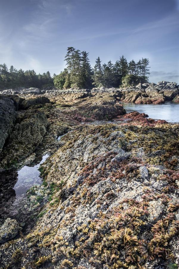 Wild Pacific Guest Suites Ucluelet Bagian luar foto